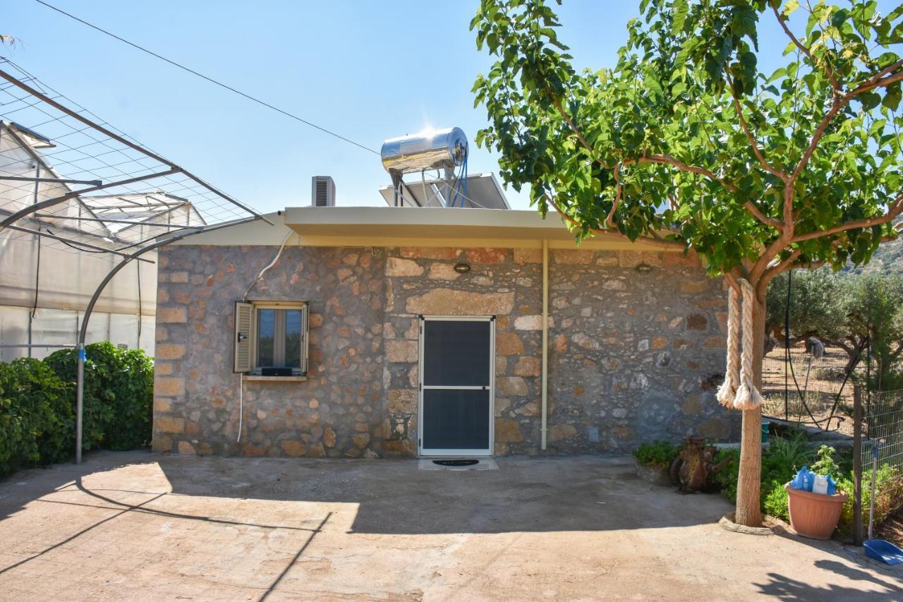 Pause Serenity House Into Olive Groves Villa Agios Fotios Exterior photo